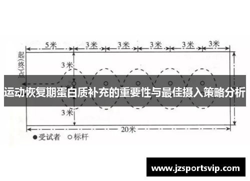 运动恢复期蛋白质补充的重要性与最佳摄入策略分析